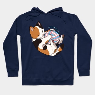 Transgender Pride Calico Cat Hoodie